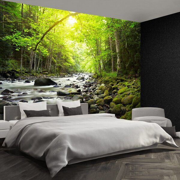 Carta da parati Mountain River 104x70 cm
