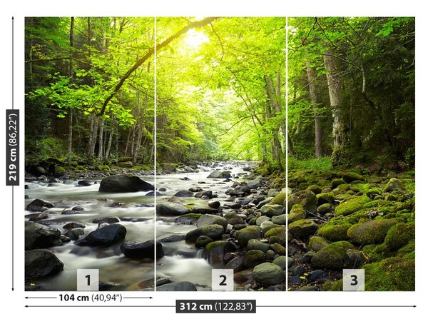 Carta da parati Mountain River 104x70 cm