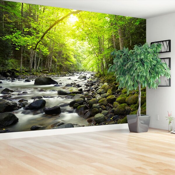 Carta da parati Mountain River 104x70 cm