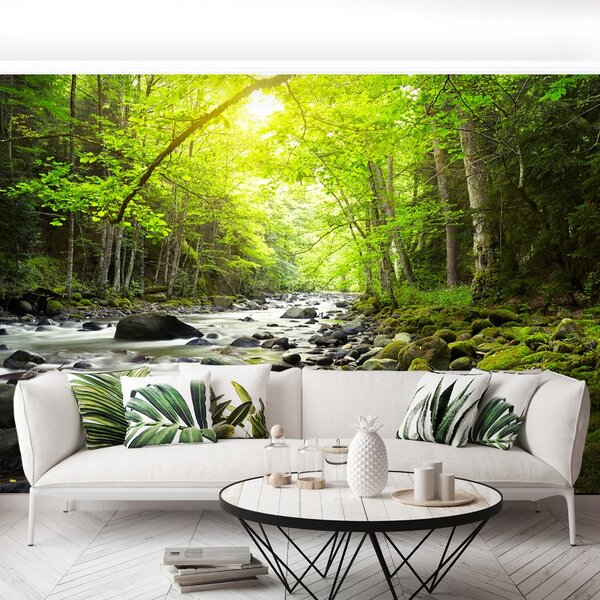 Carta da parati Mountain River 104x70 cm