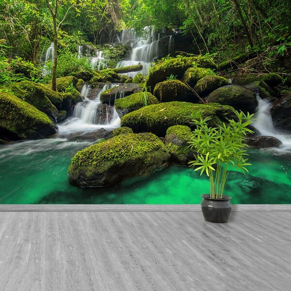 Carta da parati Cascata nella giungla 104x70 cm