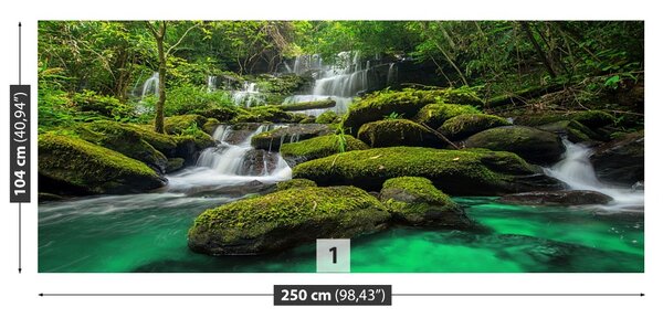 Carta da parati Cascata nella giungla 104x70 cm