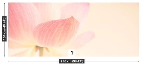 Carta da parati Lotos rosa 104x70 cm