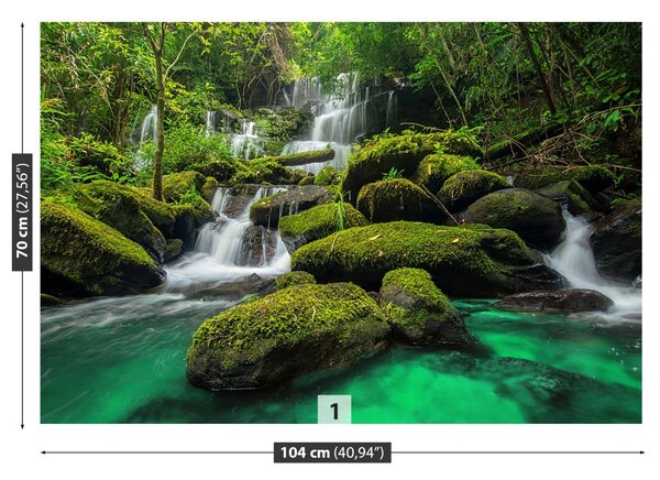 Carta da parati Cascata nella giungla 104x70 cm