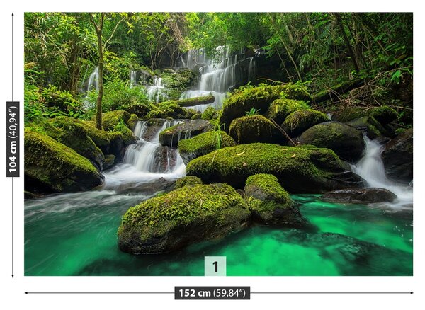 Carta da parati Cascata nella giungla 104x70 cm