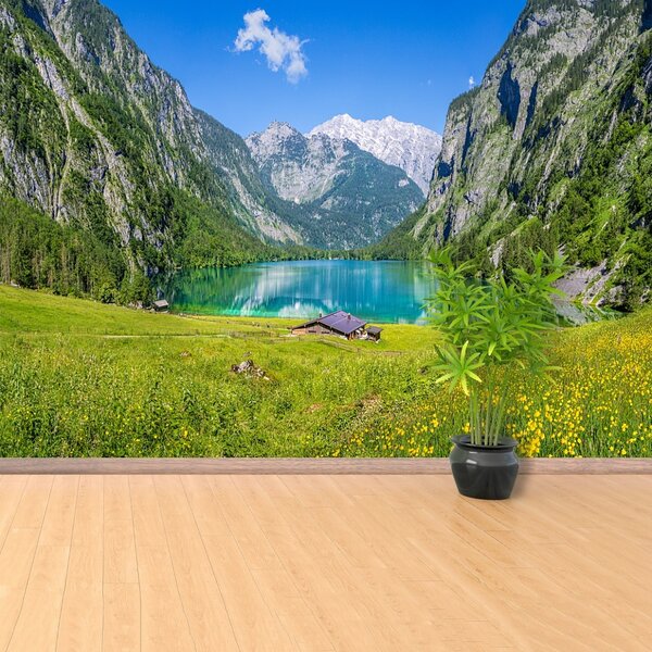 Carta da parati Obersee Königsee 104x70 cm