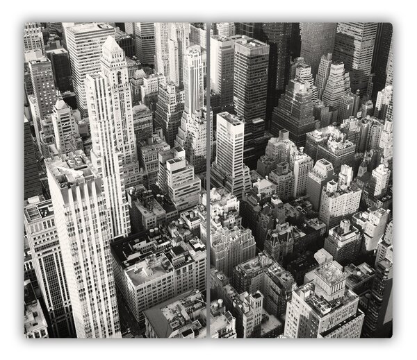 Tagliere in vetro Lotto di uccelli di New York 60x52 cm