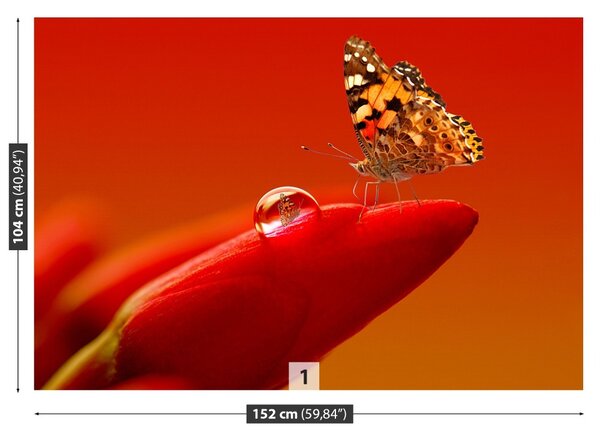 Carta da parati Butterfly Tulip 104x70 cm