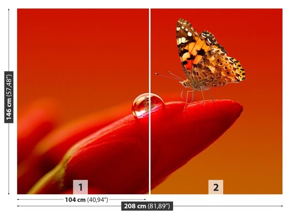 Carta da parati Butterfly Tulip 104x70 cm