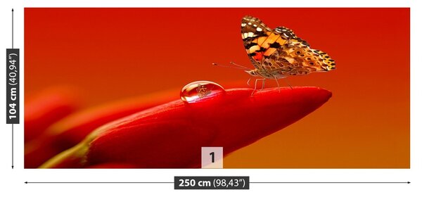 Carta da parati Butterfly Tulip 104x70 cm