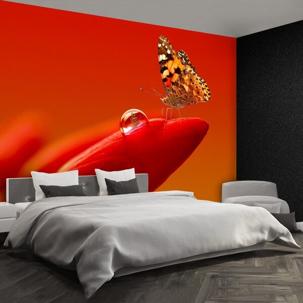Carta da parati Butterfly Tulip 104x70 cm