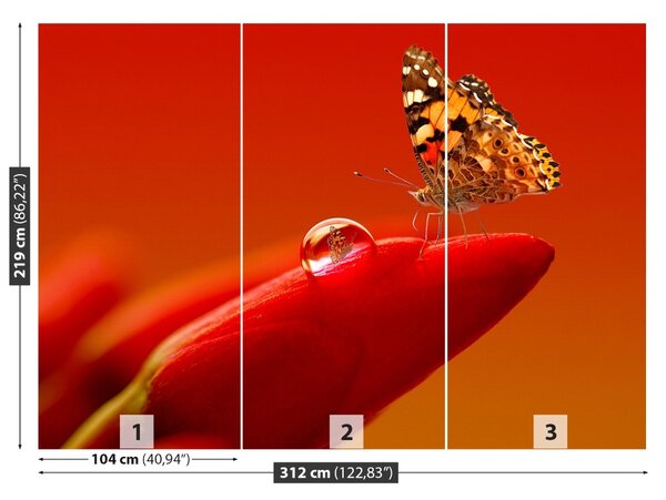 Carta da parati Butterfly Tulip 104x70 cm