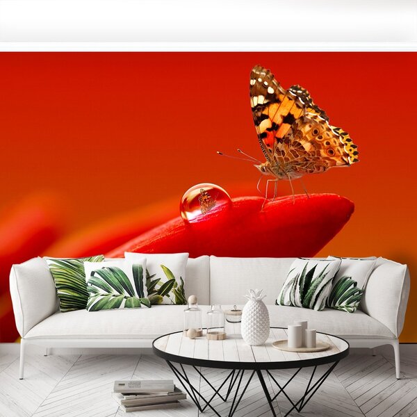 Carta da parati Butterfly Tulip 104x70 cm