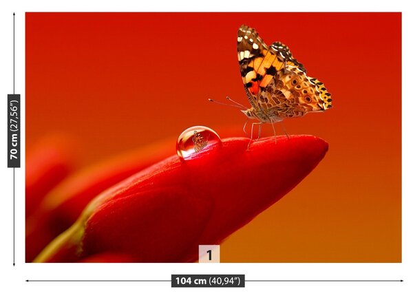 Carta da parati Butterfly Tulip 104x70 cm
