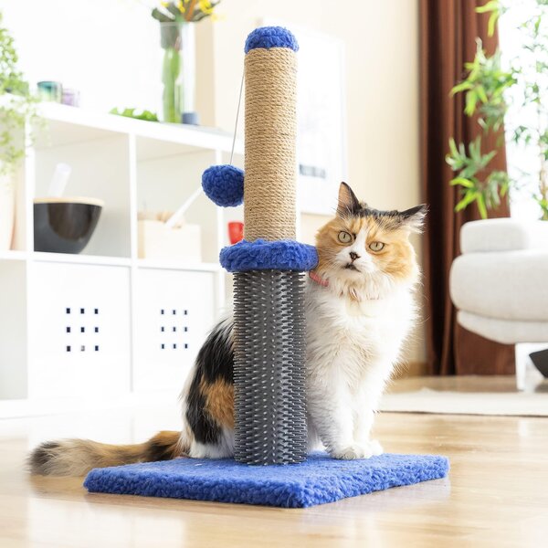 Graffiatoio con palla per gatti Miausage InnovaGoods