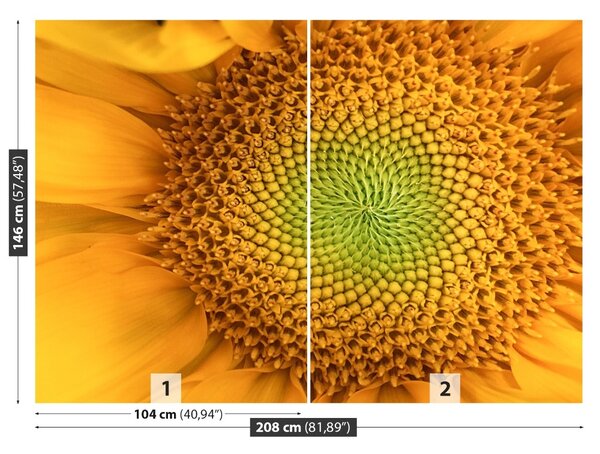 Carta da parati Girasole 104x70 cm