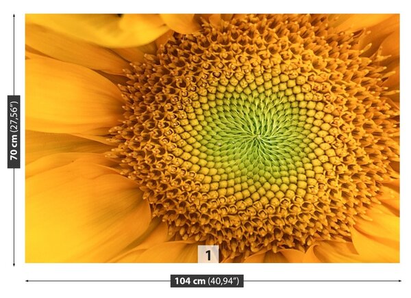 Carta da parati Girasole 104x70 cm