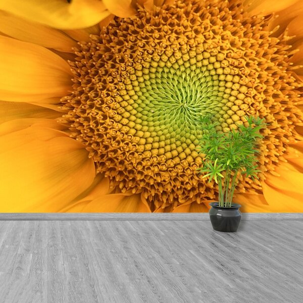 Carta da parati Girasole 104x70 cm