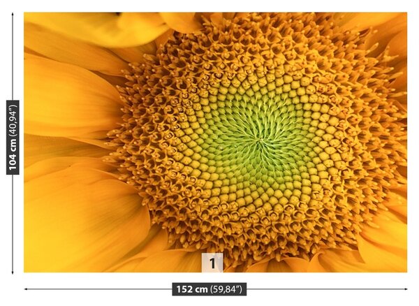Carta da parati Girasole 104x70 cm