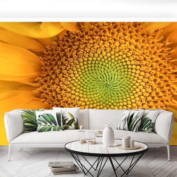 Carta da parati Girasole 104x70 cm