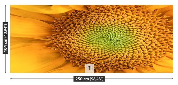 Carta da parati Girasole 104x70 cm