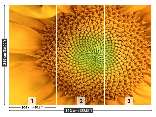 Carta da parati Girasole 104x70 cm