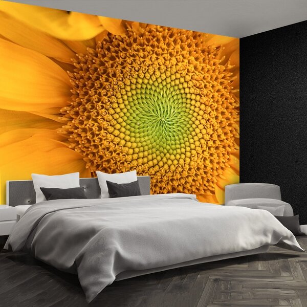Carta da parati Girasole 104x70 cm