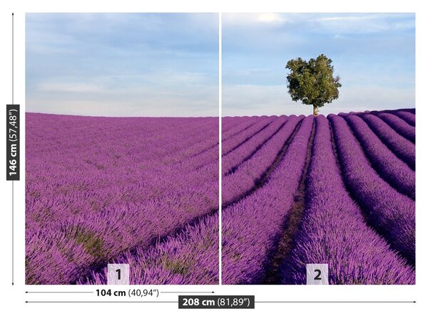 Carta da parati Campo di lavanda 104x70 cm