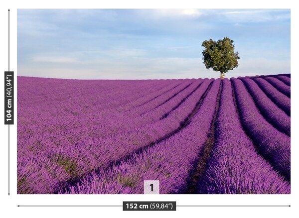 Carta da parati Campo di lavanda 104x70 cm