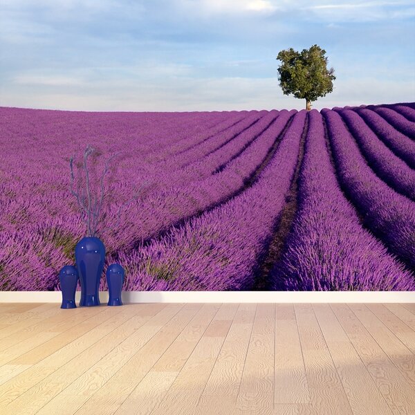 Carta da parati Campo di lavanda 104x70 cm