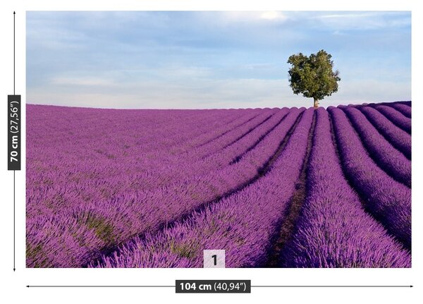 Carta da parati Campo di lavanda 104x70 cm