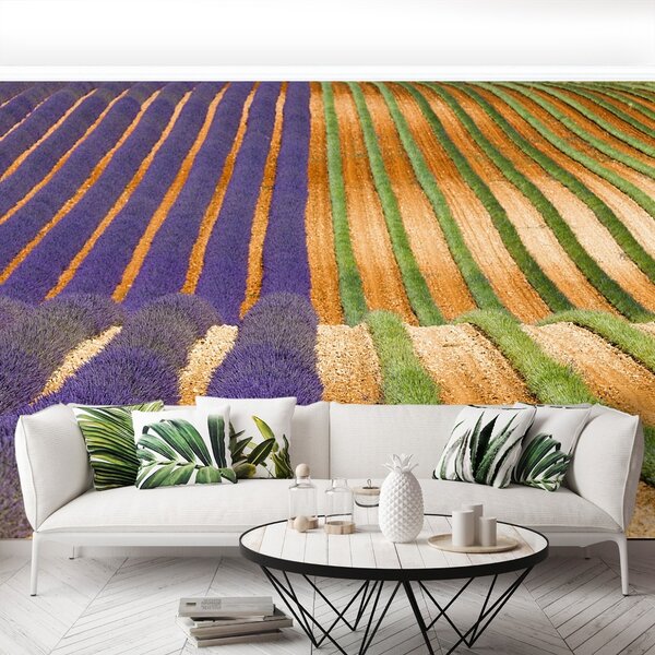 Carta da parati Provenza Francia 104x70 cm