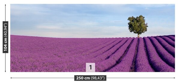 Carta da parati Campo di lavanda 104x70 cm