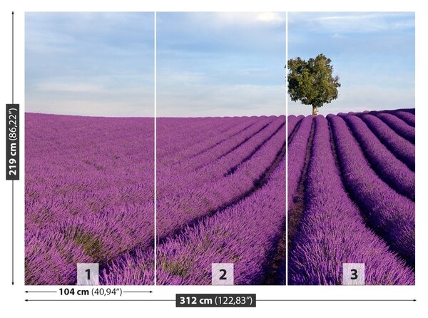 Carta da parati Campo di lavanda 104x70 cm