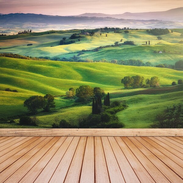 Carta da parati Meadows italiani 104x70 cm