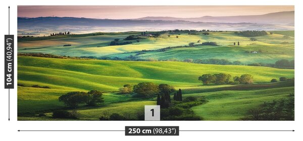 Carta da parati Meadows italiani 104x70 cm