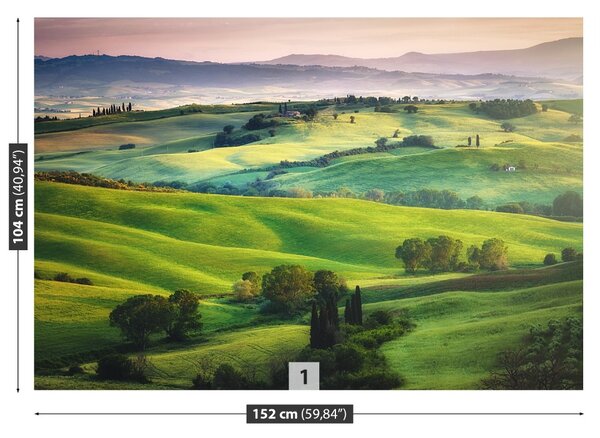 Carta da parati Meadows italiani 104x70 cm