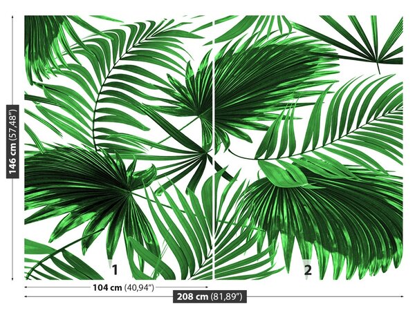 Carta da parati Foglie di palma 104x70 cm