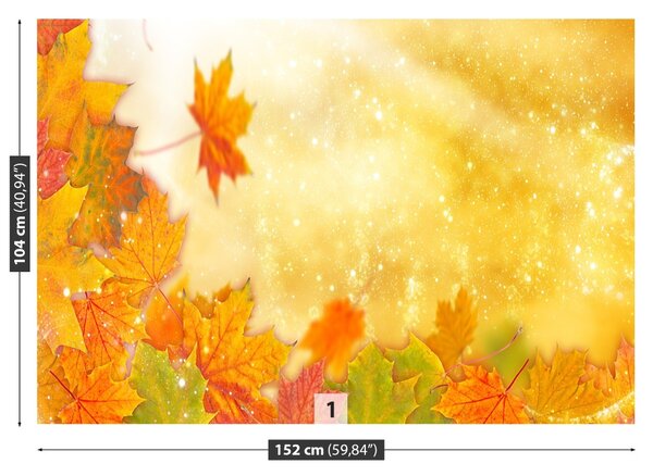 Carta da parati Foglie di caduta 104x70 cm