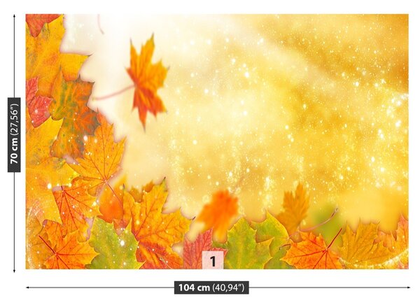 Carta da parati Foglie di caduta 104x70 cm