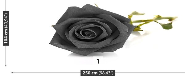 Carta da parati Rosa nera 104x70 cm