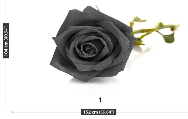 Carta da parati Rosa nera 104x70 cm