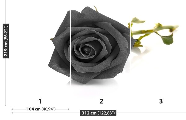 Carta da parati Rosa nera 104x70 cm