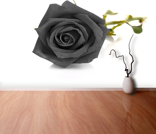Carta da parati Rosa nera 104x70 cm