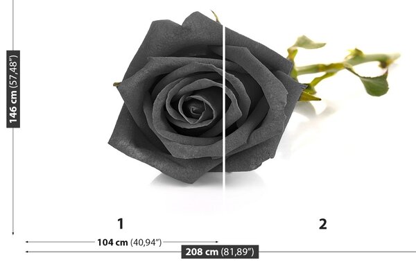 Carta da parati Rosa nera 104x70 cm
