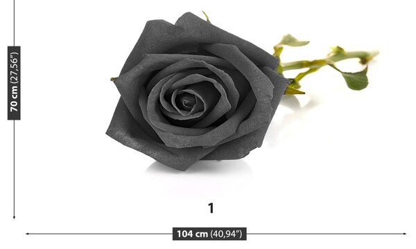 Carta da parati Rosa nera 104x70 cm