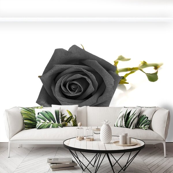 Carta da parati Rosa nera 104x70 cm