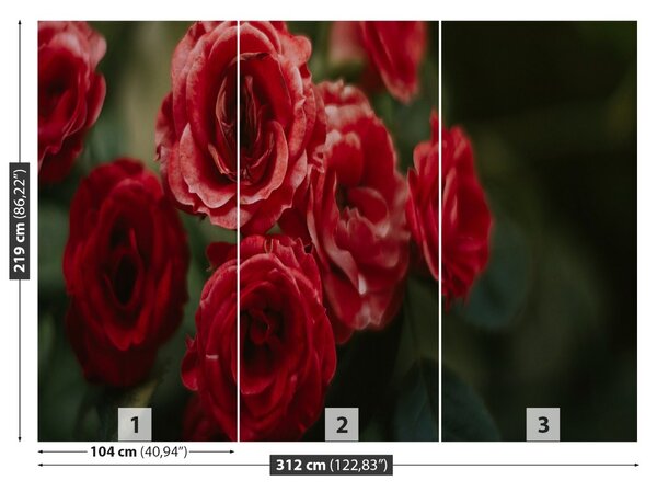 Carta da parati Rose vintage 104x70 cm