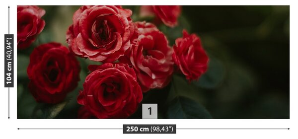 Carta da parati Rose vintage 104x70 cm
