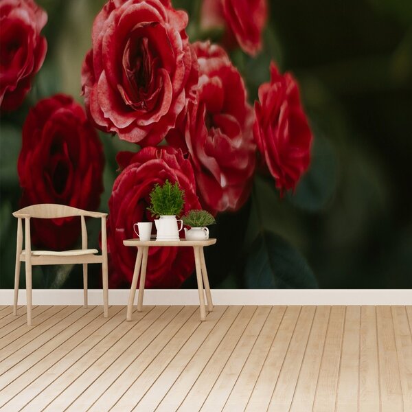Carta da parati Rose vintage 104x70 cm